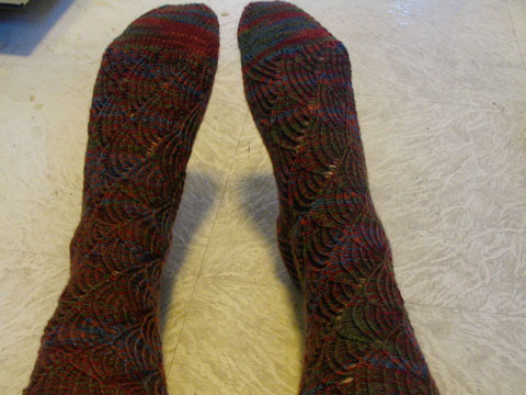 Pomatomus Socks
