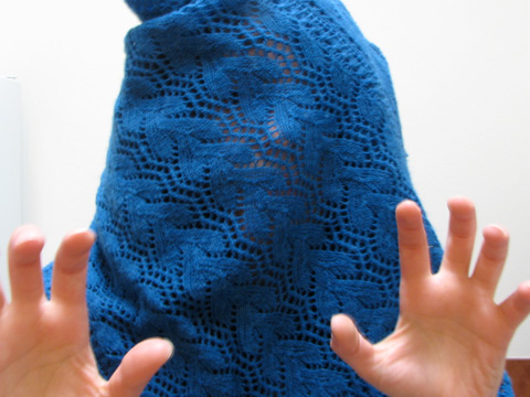 Print O' The Wave Stole